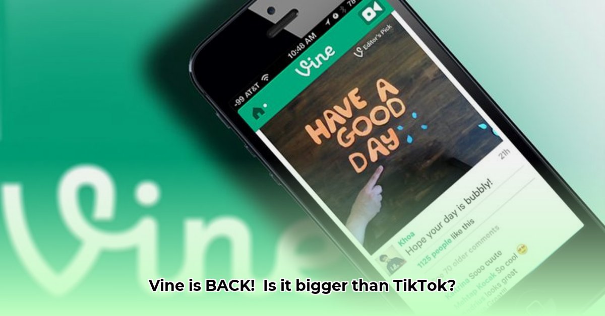 vine-app-apk